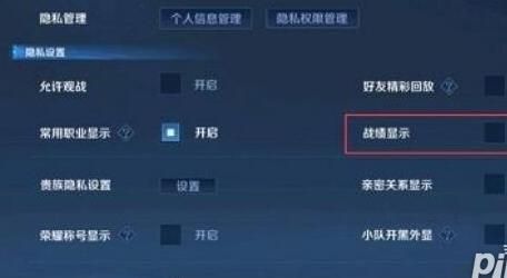 王者上怎样隐藏战绩
